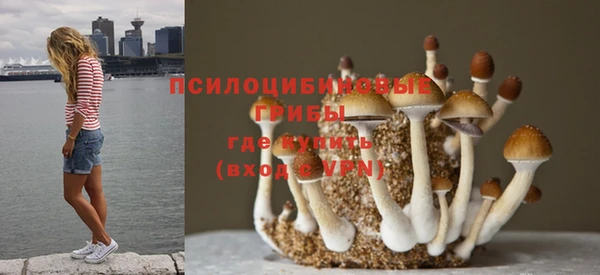 мяу мяу мука Армянск