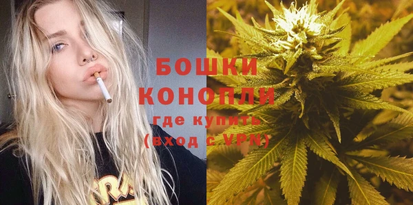 спиды Арсеньев