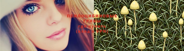 мяу мяу мука Армянск