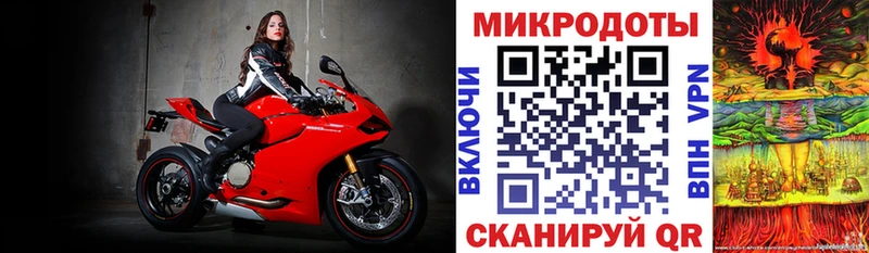мега маркетплейс дарк нет какой сайт Галлюциногенные грибы Psilocybe Галич